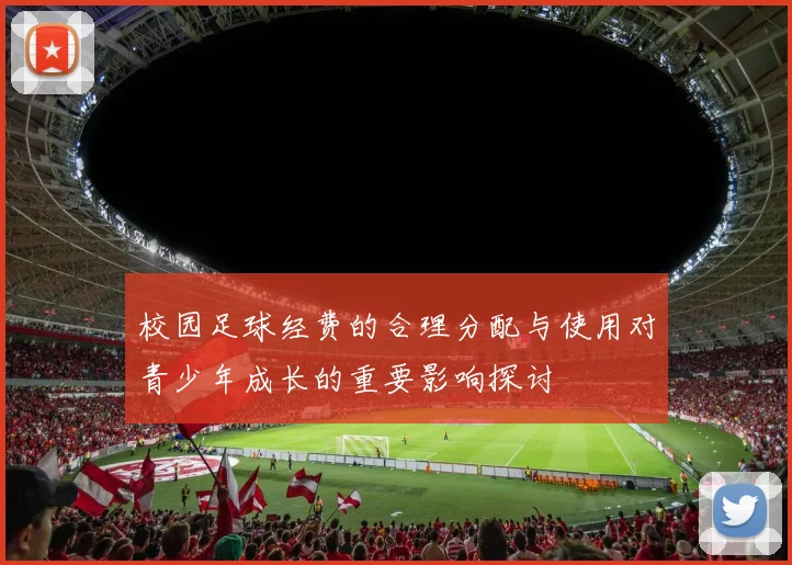 校园足球经费的合理分配与使用对青少年成长的重要影响探讨