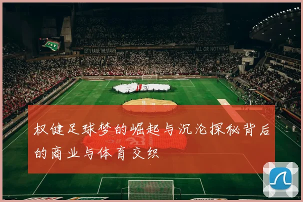 权健足球梦的崛起与沉沦探秘背后的商业与体育交织